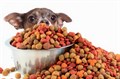 Сухие корма Сухие корма