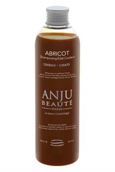 Anju Beaute Шампунь Переливы Кремового, Золотистого и Персиковых окрасов (Abricot Shampooing) - фото 43190