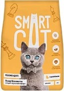 Smart Cat для котят, с цыпленком