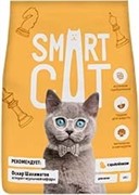 Smart Cat для котят, с цыпленком