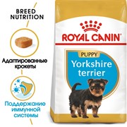 ROYAL CANIN Корм сухой для  щенков породы йоркширский терьер в возрасте до 10 месяцев