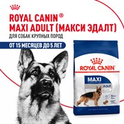Корм сухой Royal Canin Maxi Adult для взрослых собак крупных размеров