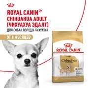 Royal Canin сухой корм для взрослого чихуахуа с 8 мес., Chihuahua 28 Royal Canin сухой корм для взрослого чихуахуа с 8 мес., Chihuahua 28