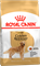 ROYAL CANIN Для взрослого голден ретривера с 15 мес., Golden Retriever 25 - фото 22182