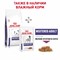 ROYAL CANIN NEUTERED ADULT SMALL DOG Корм для кастрированных собак мелких размеров - фото 35093