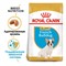 ROYAL CANIN (Роял канин)Для щенков французского бульдога до 12 мес., French Bulldog Junior 30 - фото 36572