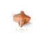 ROYAL CANIN Для взрослой немецкой овчарки с 15 мес., German Shepherd 24 - фото 36575