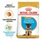 ROYAL CANIN Для щенков немецкой овчарки до 15 мес., German Shepherd Junior 30 - фото 36580