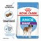 ROYAL CANIN (Роял Канин) Для энергичных щенков гигантских пород 8-18 мес., Giant Junior - фото 36586