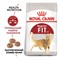 ROYAL CANIN Для бывающих на улице кошек (1-7 лет), Fit 32 - фото 40940
