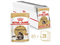 ROYAL CANIN Кусочки в соусе для кошек породы Мейн-Кун 28 шт - фото 44771
