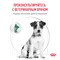 Royal Canin SATIETY WEIGHT MANAGEMENT SMALL DOGS (СЭТАЙЕТИ ВЕЙТ МЕНЕДЖМЕНТ СМОЛ ДОГЗ)  Корм сухой полнорационный диетический для взрослых собак мелких пород для снижения веса - фото 44814