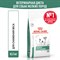 Royal Canin SATIETY WEIGHT MANAGEMENT SMALL DOGS (СЭТАЙЕТИ ВЕЙТ МЕНЕДЖМЕНТ СМОЛ ДОГЗ)  Корм сухой полнорационный диетический для взрослых собак мелких пород для снижения веса - фото 44817