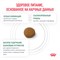 Royal Canin SATIETY WEIGHT MANAGEMENT SMALL DOGS (СЭТАЙЕТИ ВЕЙТ МЕНЕДЖМЕНТ СМОЛ ДОГЗ)  Корм сухой полнорационный диетический для взрослых собак мелких пород для снижения веса - фото 44821