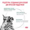Royal Canin SATIETY WEIGHT MANAGEMENT  (СЭТАЙЕТИ ВЕЙТ МЕНЕДЖМЕНТ)  Корм сухой полнорационный диетический для взрослых кошек, рекомендуемый для снижения веса. Ветеринарная диета - фото 44839