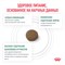 Royal Canin SATIETY WEIGHT MANAGEMENT  (СЭТАЙЕТИ ВЕЙТ МЕНЕДЖМЕНТ)  Корм сухой полнорационный диетический для взрослых кошек, рекомендуемый для снижения веса. Ветеринарная диета - фото 44841