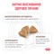 Royal Canin GASTROINTESTINAL PUPPY (ГАСТРОИНТЕСТИНАЛ ПАППИ) Корм сухой полнорационный диетический для щенков, рекомендуемый при расстройствах пищеварения. - фото 44846