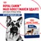 Корм сухой Royal Canin Maxi Adult для взрослых собак крупных размеров - фото 46991