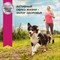 Корм для собак Eukanuba Adult All Breed влажный рацион с ягнёнком в соусе, 100г - фото 47451