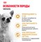 Royal Canin сухой корм  для взрослого чихуахуа с 8 мес., Chihuahua 28 - фото 53489