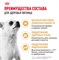 Royal Canin сухой корм  для взрослого чихуахуа с 8 мес., Chihuahua 28 - фото 53490