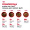 Royal Canin сухой корм  для взрослого чихуахуа с 8 мес., Chihuahua 28 - фото 53494